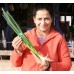 SPRING ONIONS  Bunch Of 4  Palmerston North Grown